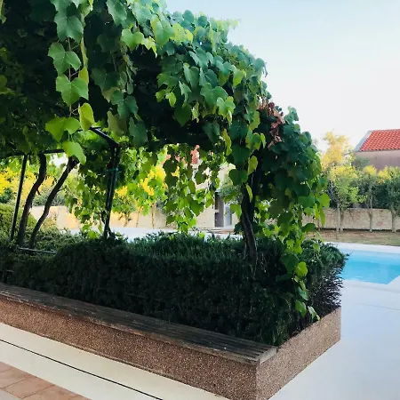 Paradise شقة زادار